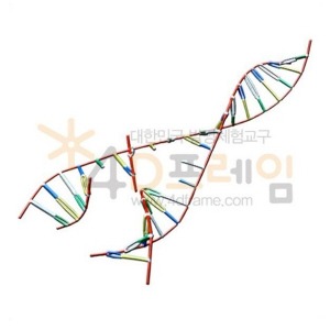 ai04 포디프레임 생명체의 설계도 DNA 복제 과정