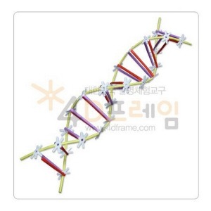 ai04 포디프레임 DNA1