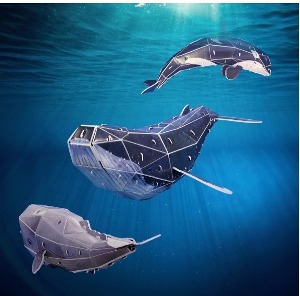 ae06 스콜라스 고래 만들기 1종  혹등고래 혹등고래모형 혹등고래만들기 학교용