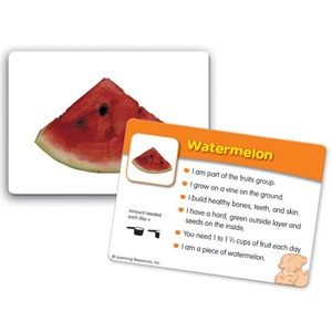 [EDU 2922] 기본 분류 카드 - 음식과 영양학 / Basic Classfying Cards Food ＆ Nutrition
