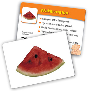 [과학사진] [EDU 2922] 기본 분류 카드 - 음식과 영양학 Basic Classfying Cards Food ＆ Nutrition