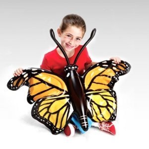 [러닝리소스] 나비의 일생_Inflatable Butterfly Life Cycle ,edu1801