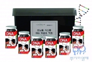 조노돔 시스템 DNA 키트-학급용