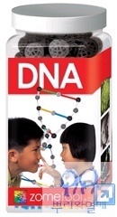 조노돔 시스템 DNA 키트