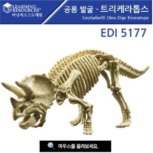 EDI5177 공룡발굴 - 트리케라톱스 공룡화석발굴세트