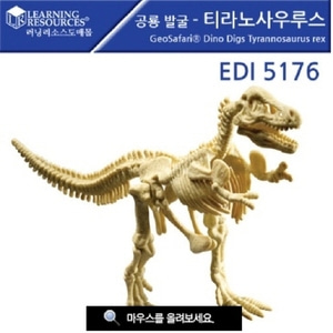 EDI5176 공룡발굴 - 티라노사우루스 공룡화석발굴