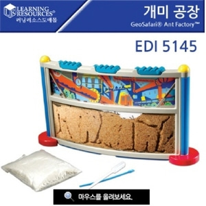 개미 공장 EDI5145 개미굴 개미집만들기 개미동굴세트