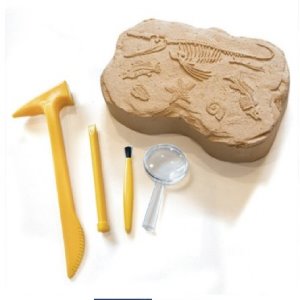 EDI5340 지오사파리 화석발굴 키트 학교 수업용세트