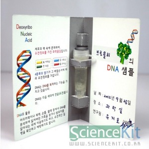 ai02 사이언스키트 DNA추출 I 식물세포 4인 과학실험키트 학교용세트 과학수업 체험교구