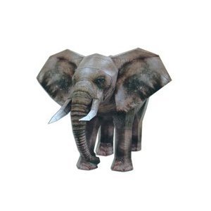 [해피페이퍼] 코끼리 (설명서 포함) / 입체 종이모형