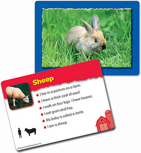 [과학사진] [EDU 2919] Basic Classfying Cards Animal on the Farm 기본 분류 카드 - 농장 동물