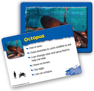 [과학사진] [EDU 2920] 기본 분류 카드 - 심해 동물 Basic Classfying Cards Animal Under the Sea