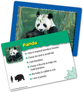 [과학사진] [EDU 2921] 기본 분류 카드 - 야생 동물 Basic Classfying Cards Animal in the Wild