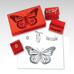 [러닝리소스]나비의 일생 스탬프_Butterfly Life Cycle Stamp ,edu1115